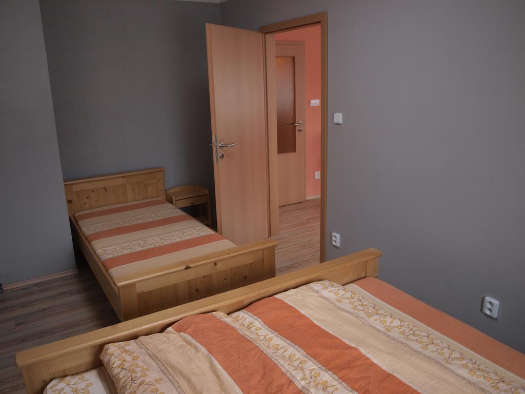 Apartments Viktoria Klinovec Kovářská Exteriér fotografie